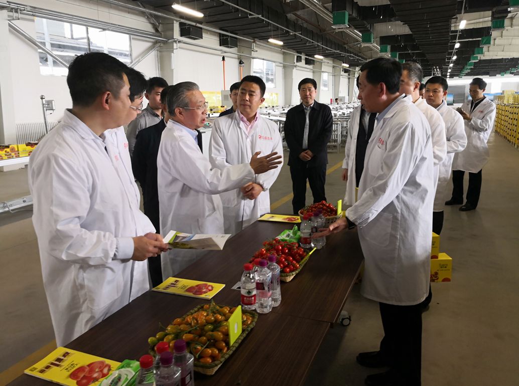 EMC易倍(中国区)体育官方网站