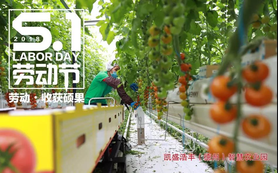 EMC易倍(中国区)体育官方网站