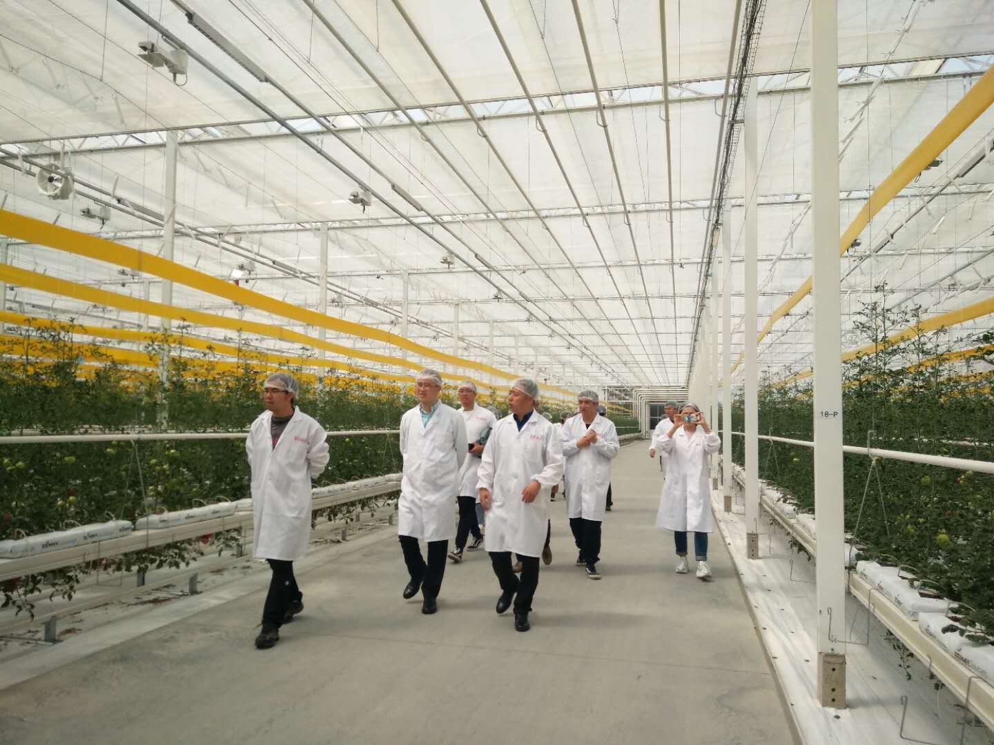 EMC易倍(中国区)体育官方网站