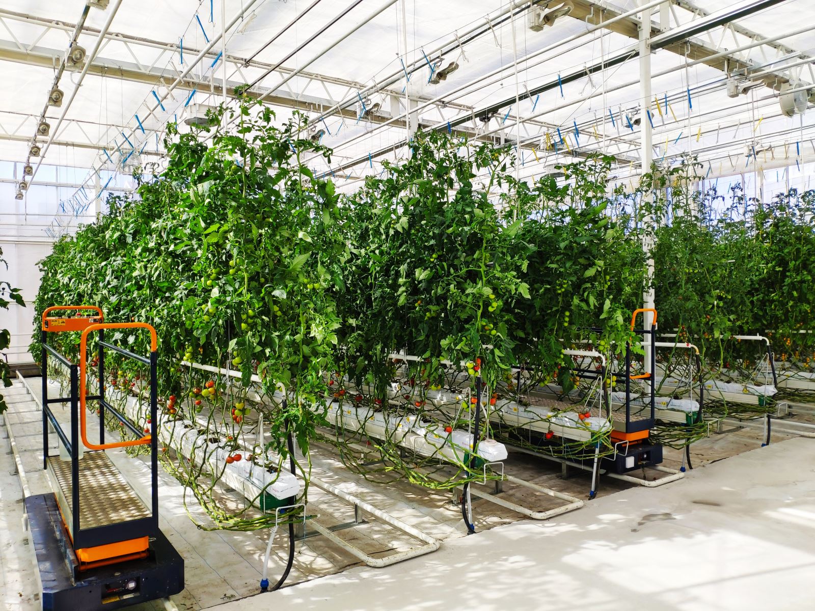 EMC易倍(中国区)体育官方网站