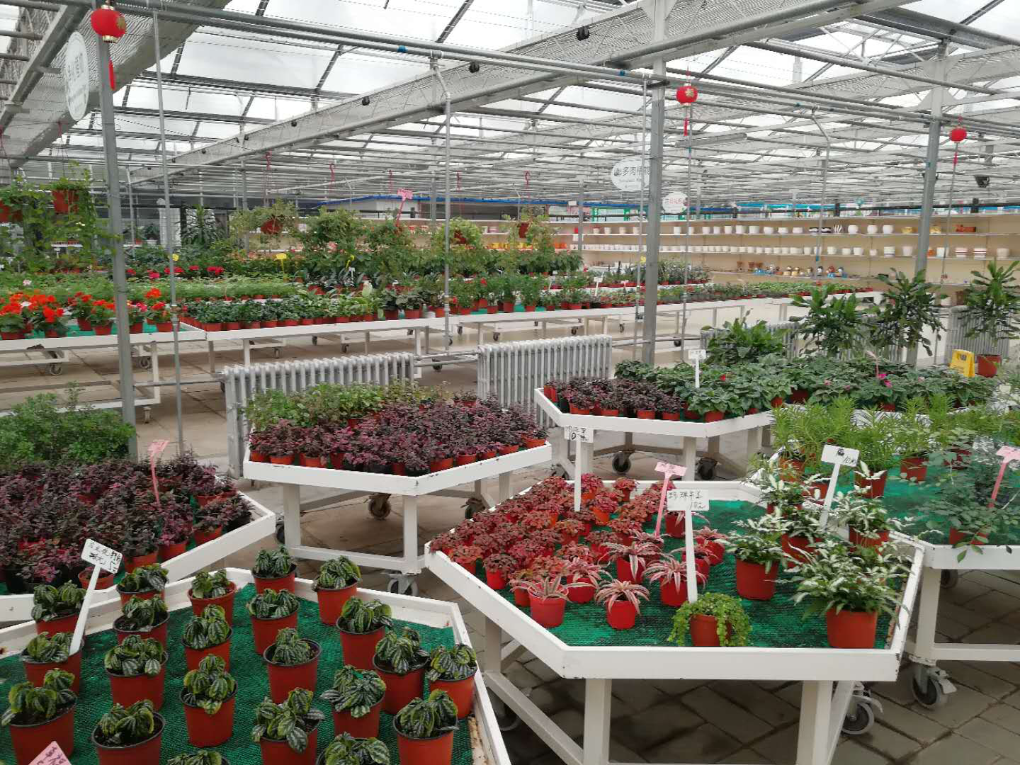 EMC易倍(中国区)体育官方网站