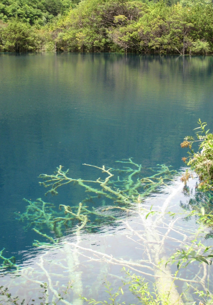 EMC易倍(中国区)体育官方网站