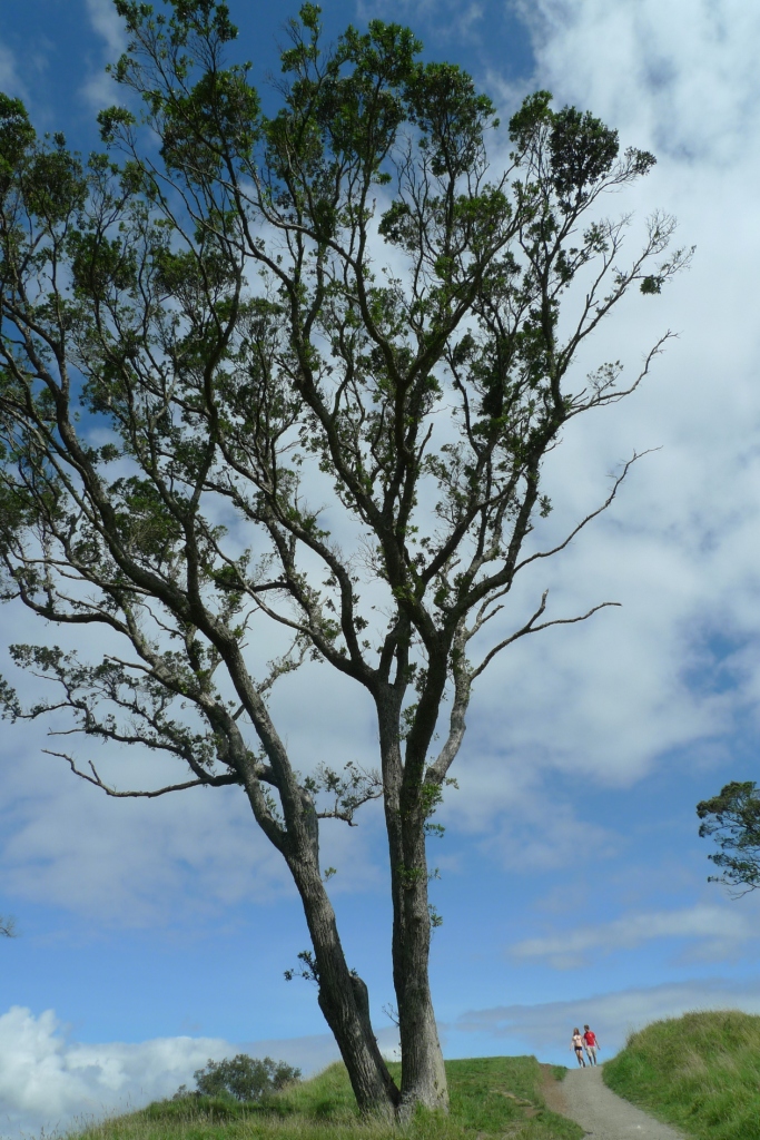 EMC易倍(中国区)体育官方网站
