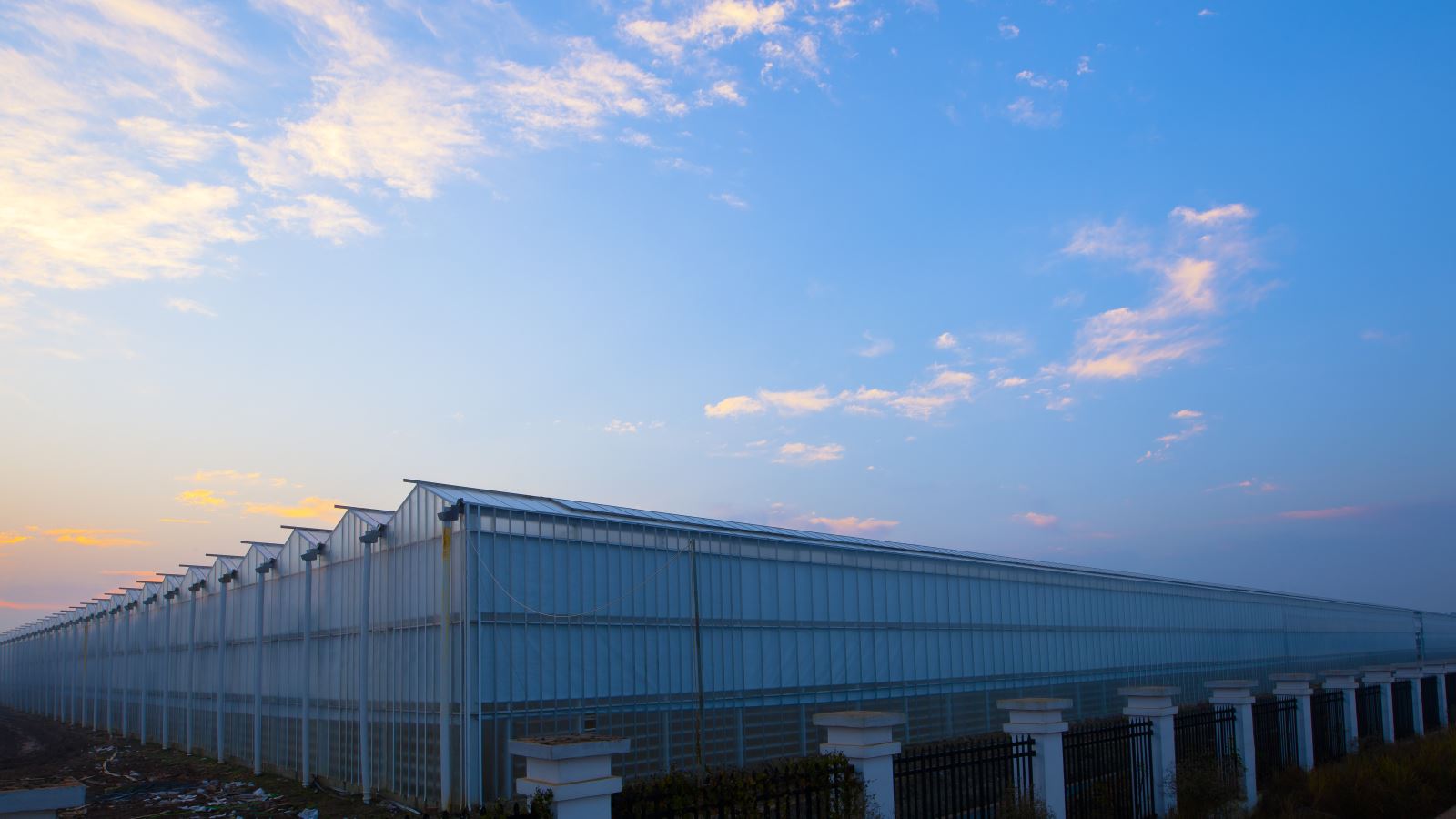 EMC易倍(中国区)体育官方网站