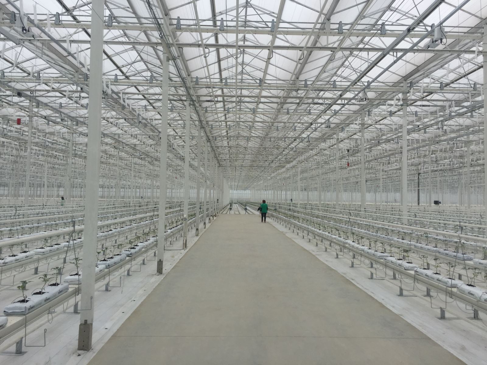 EMC易倍(中国区)体育官方网站