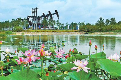 EMC易倍(中国区)体育官方网站