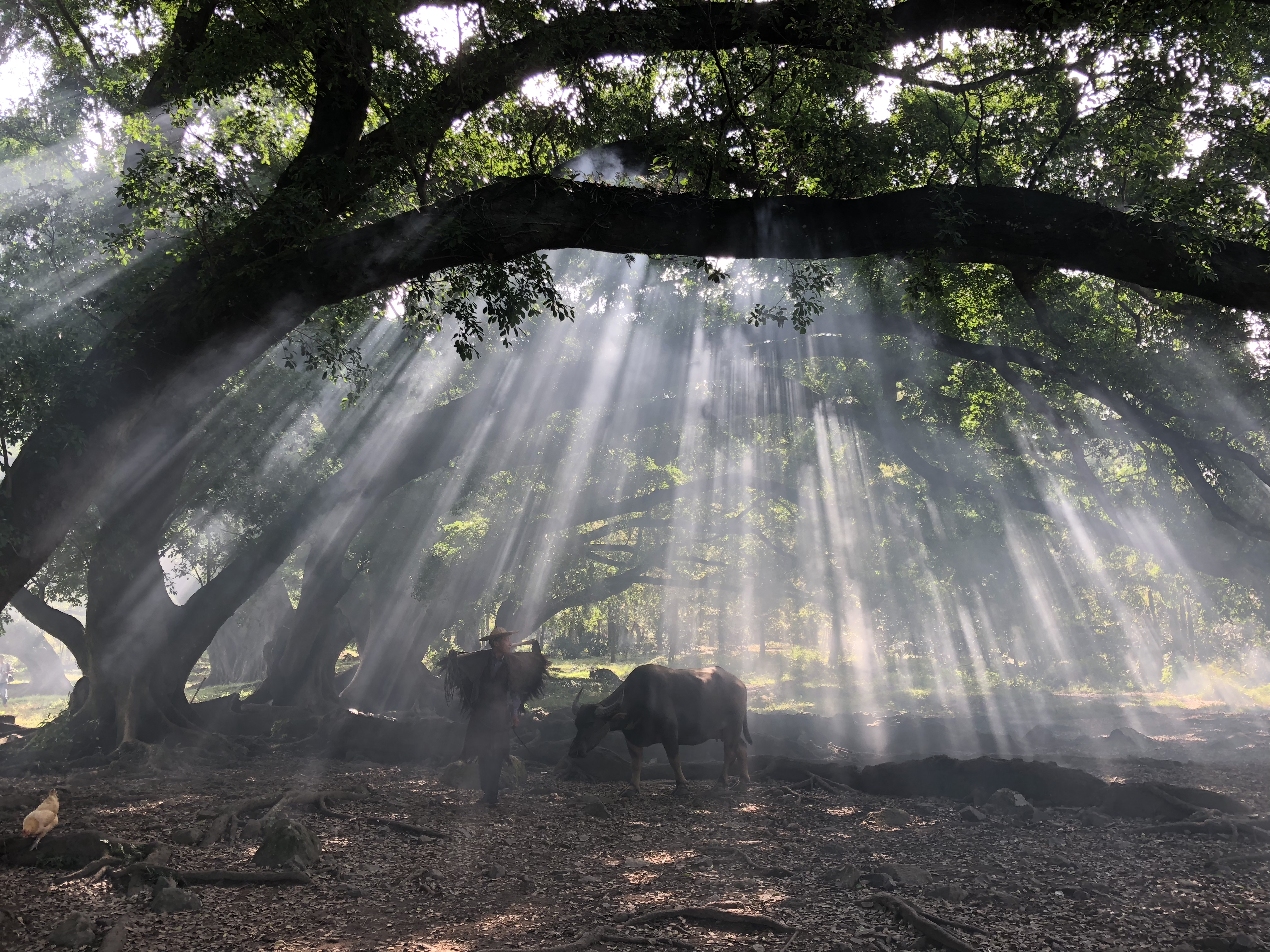 EMC易倍(中国区)体育官方网站