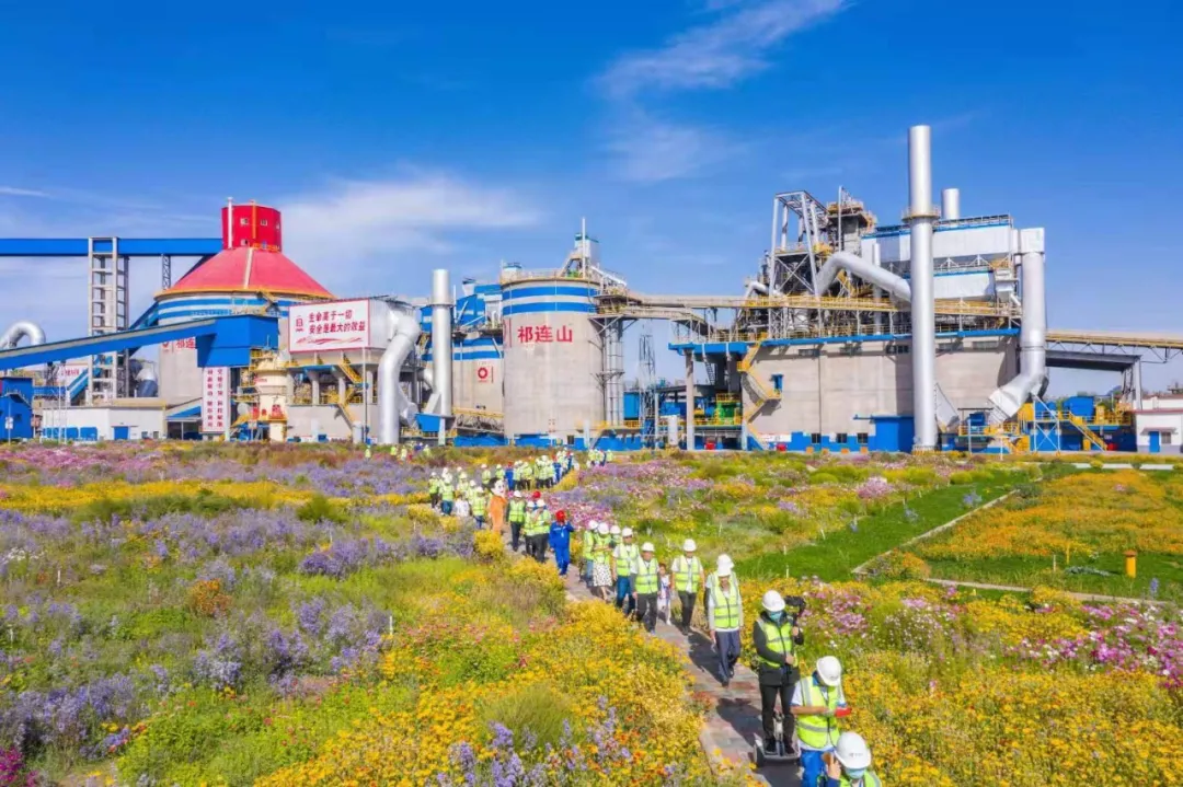 走进“善用资源日”盛开企业，来EMC易倍花海工厂打卡吧！