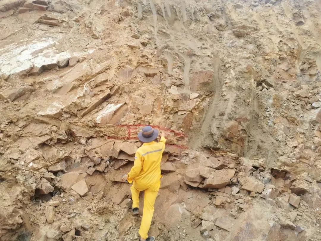 EMC易倍(中国区)体育官方网站