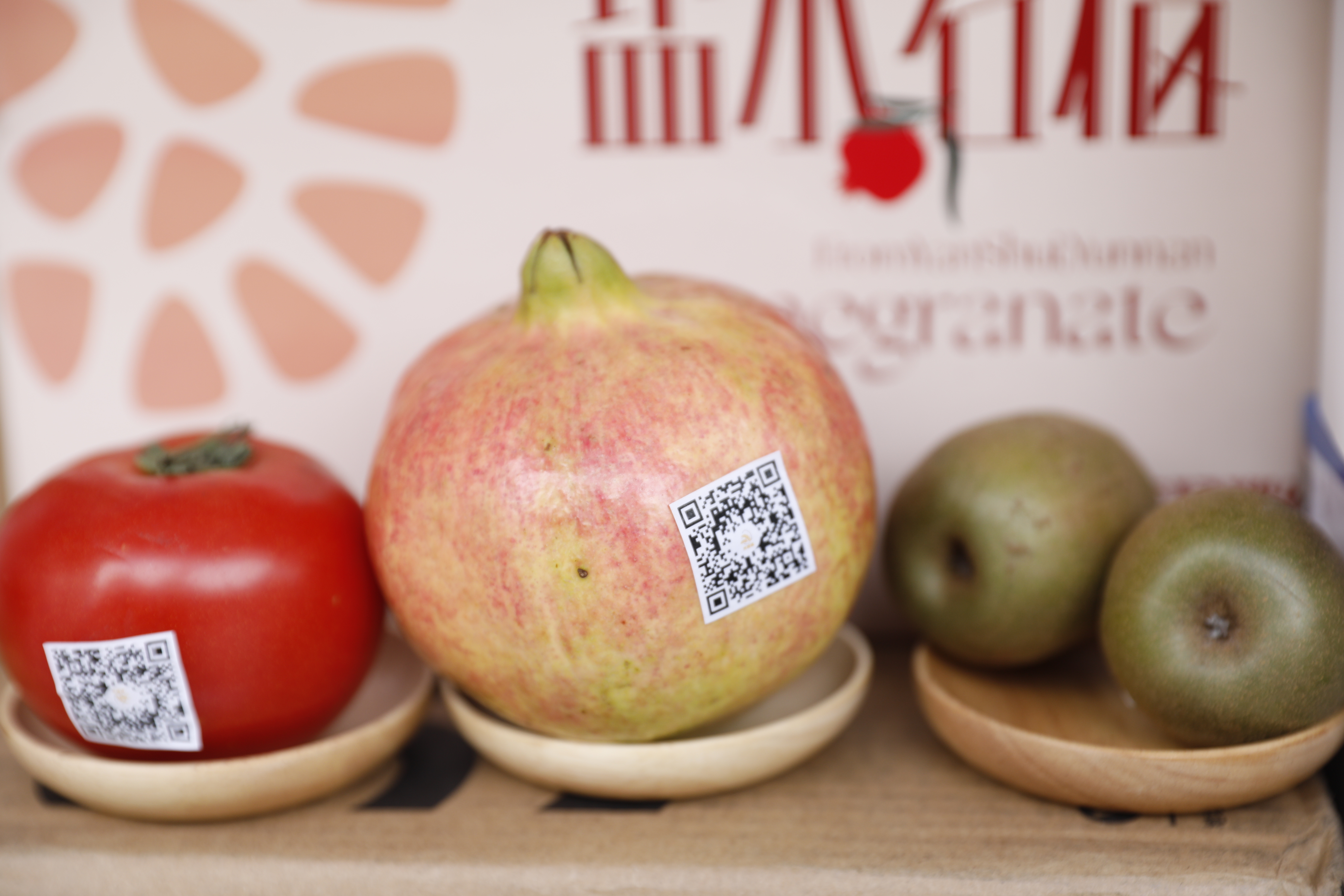 EMC易倍(中国区)体育官方网站