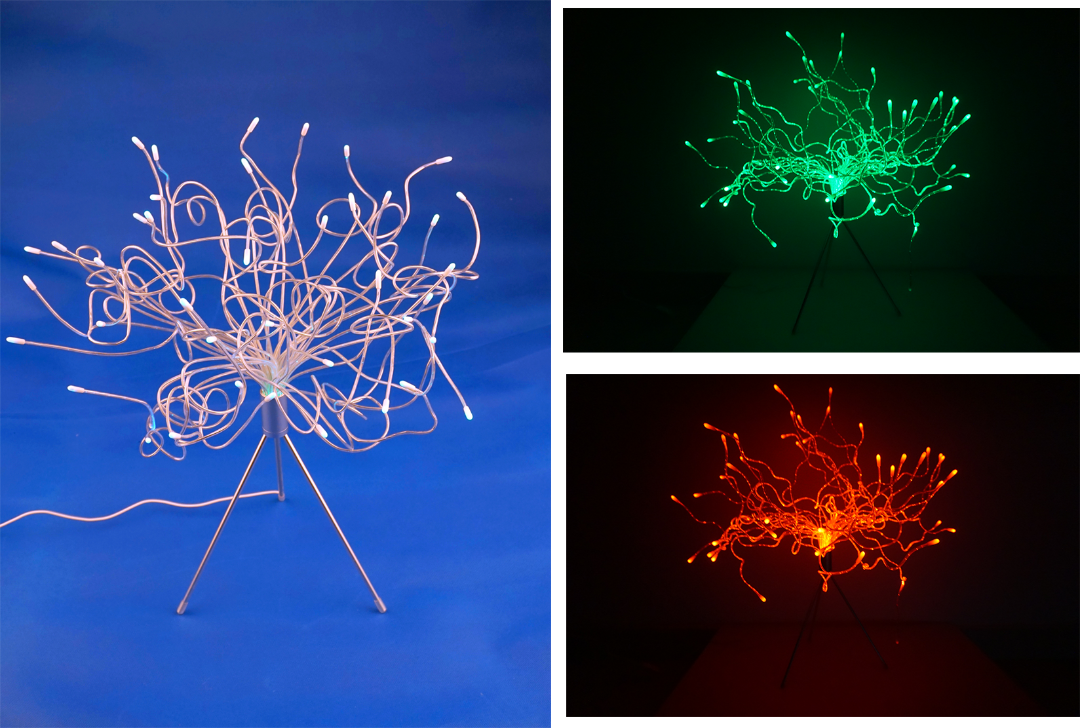 20211122105834019411