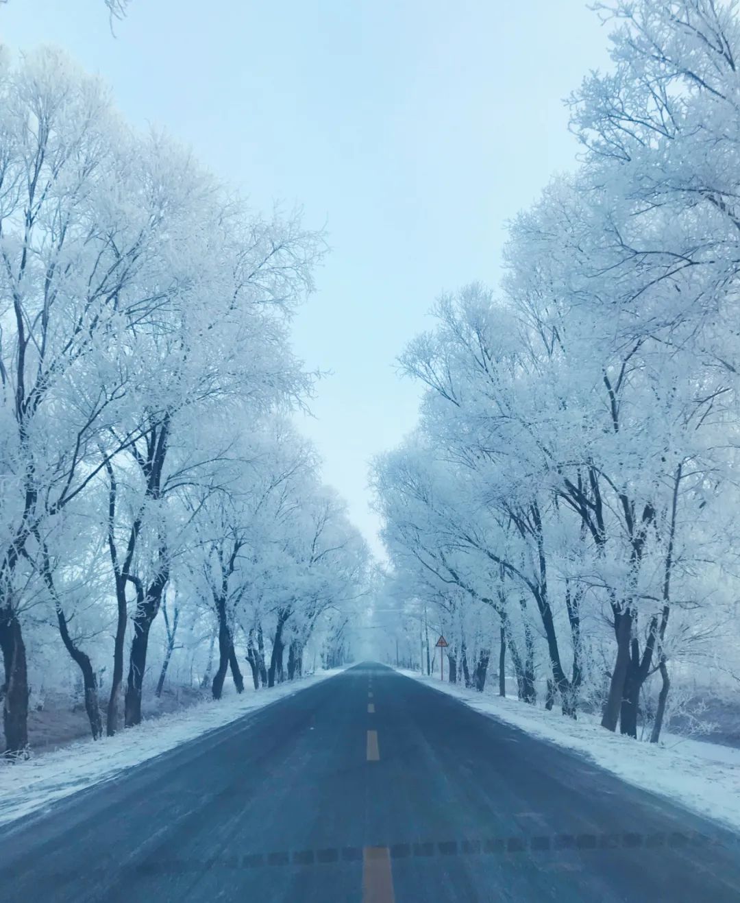 20210126100242370116