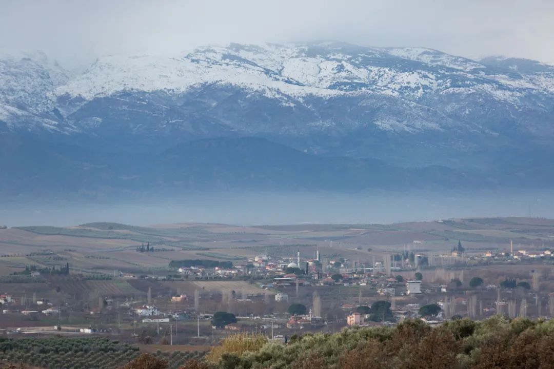 20210126100243009818