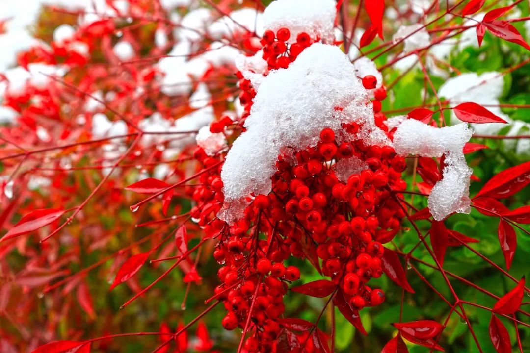 20210126100243961424