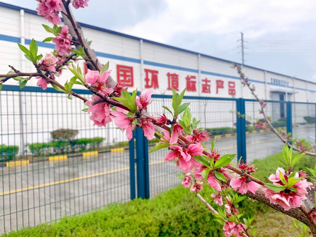 20210406105815098514