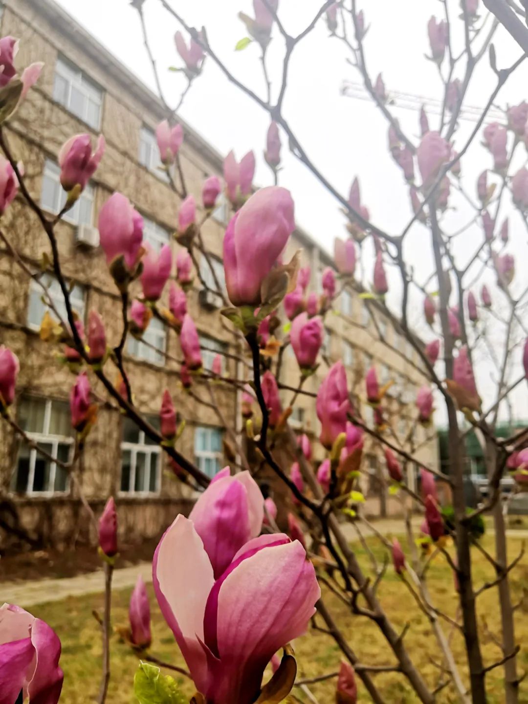 20210406105816571719