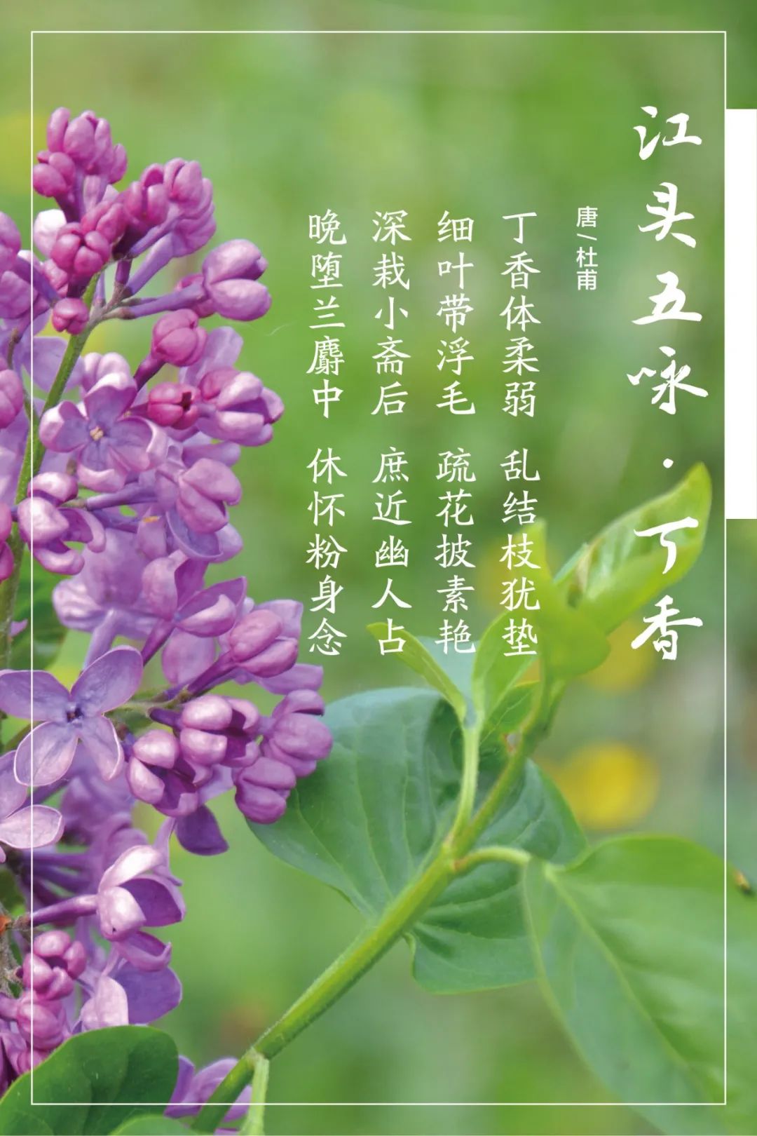 20210406105818959028