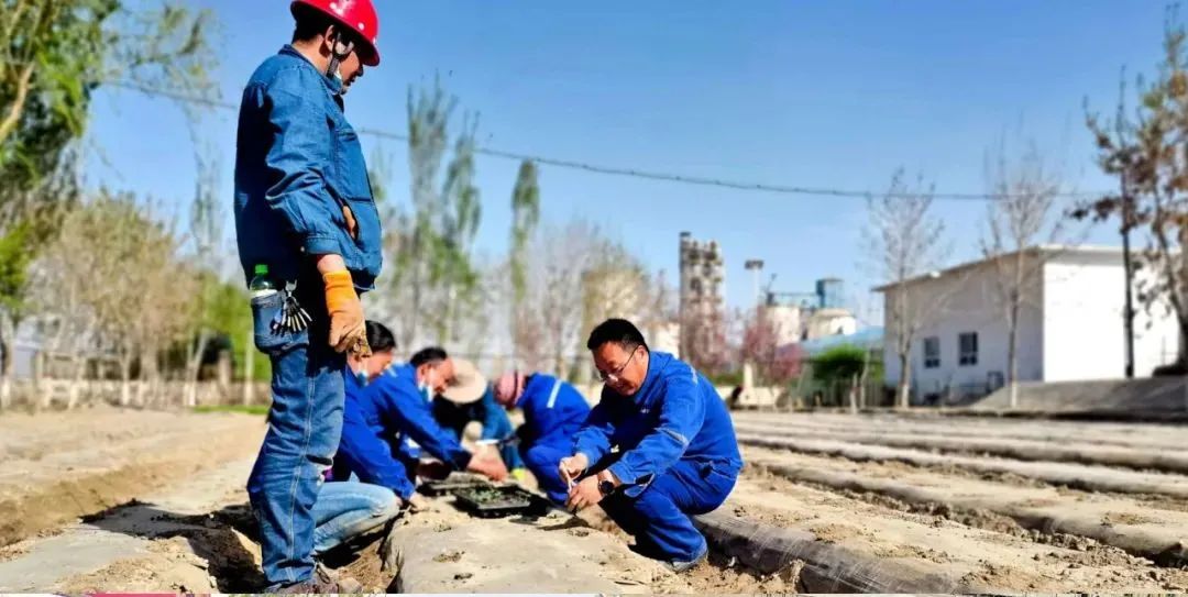 20210517134806475013