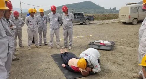 20210623094257256247