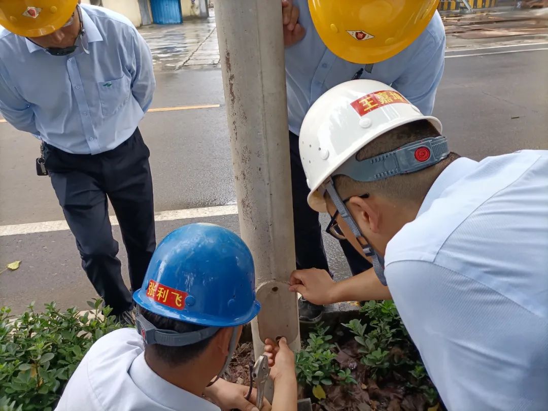 20210726094552714427