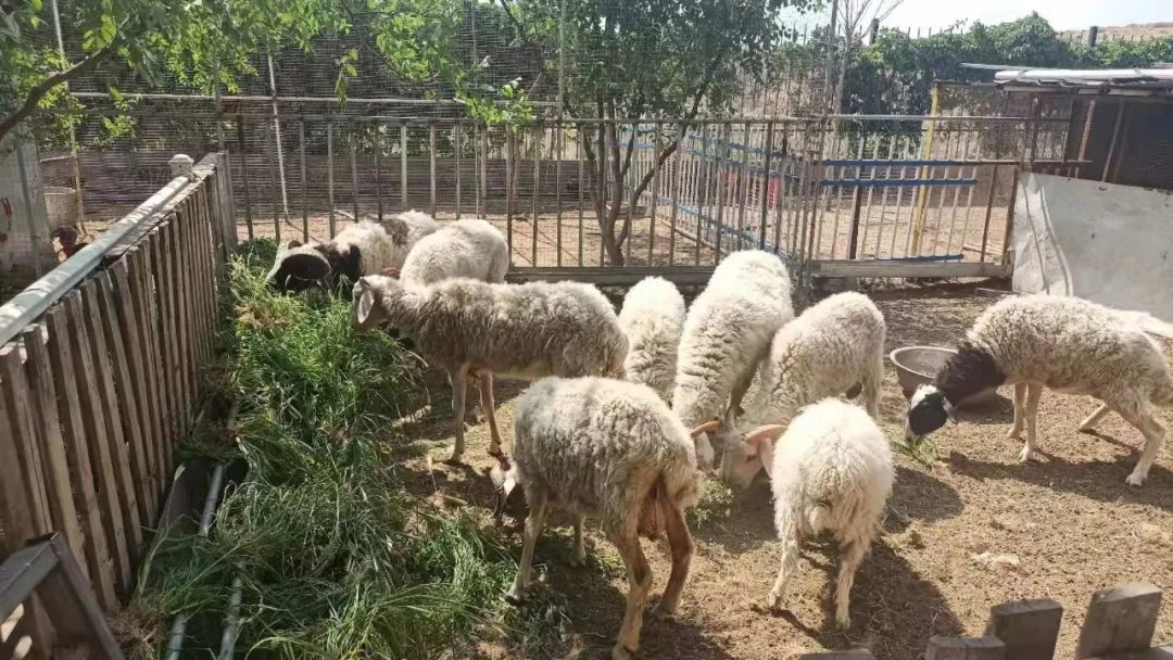 20210729114011074722