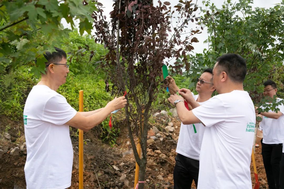 20220627180652964126