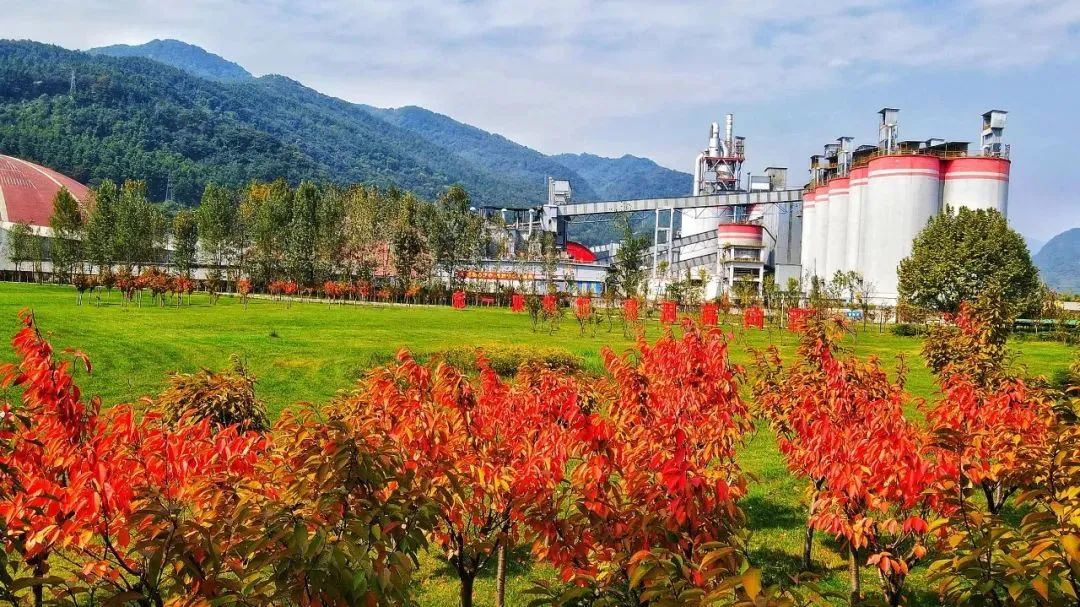 20221107103312565811