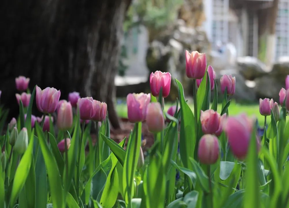 20230504114219494317