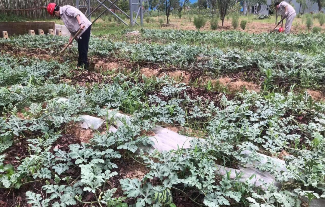 20230707172910056613