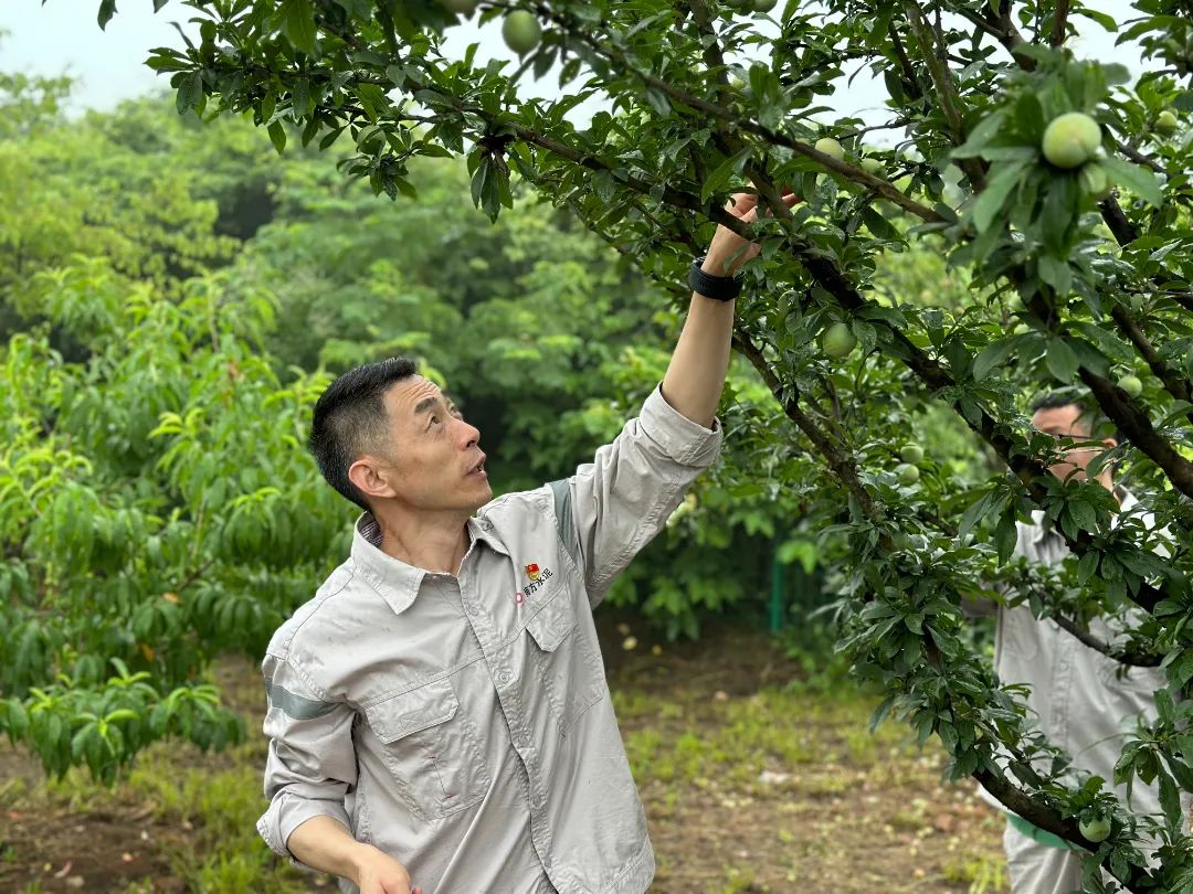 20230707172910887915