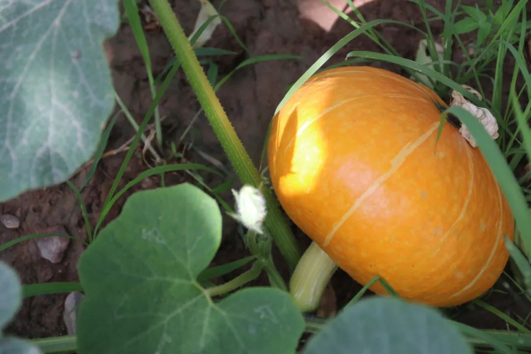 20230821094349018623