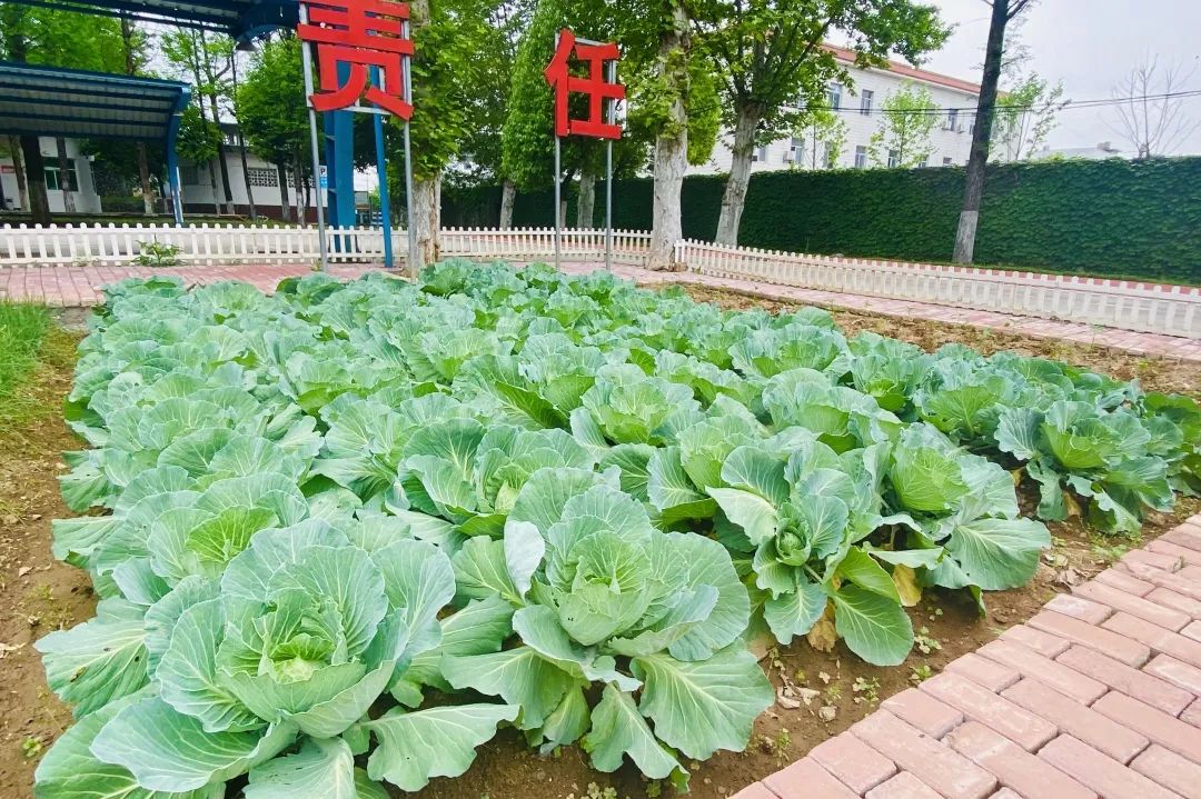 20230821094352171735