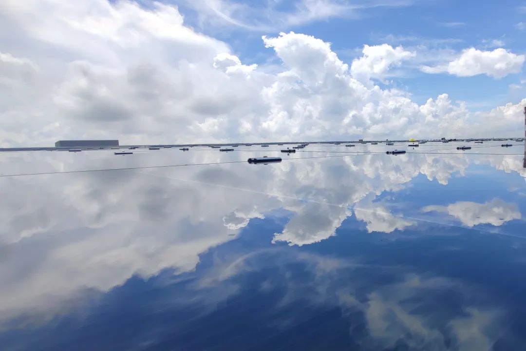 20230821094400529666