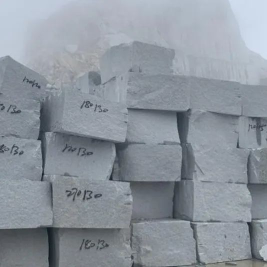 20241021172145747111