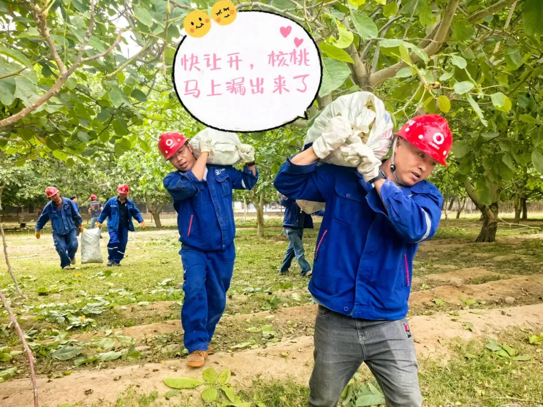 20241028114352501620