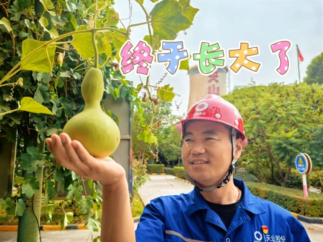 20241028114352529421