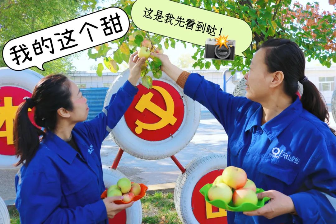 20241028114352655025