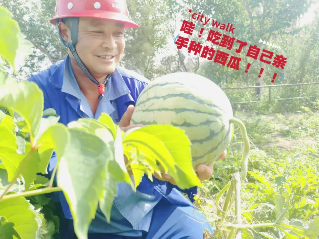 20241028114352765628