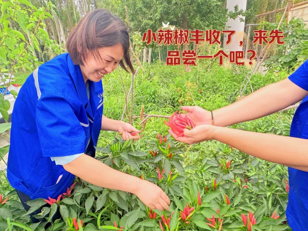 20241028114352906532