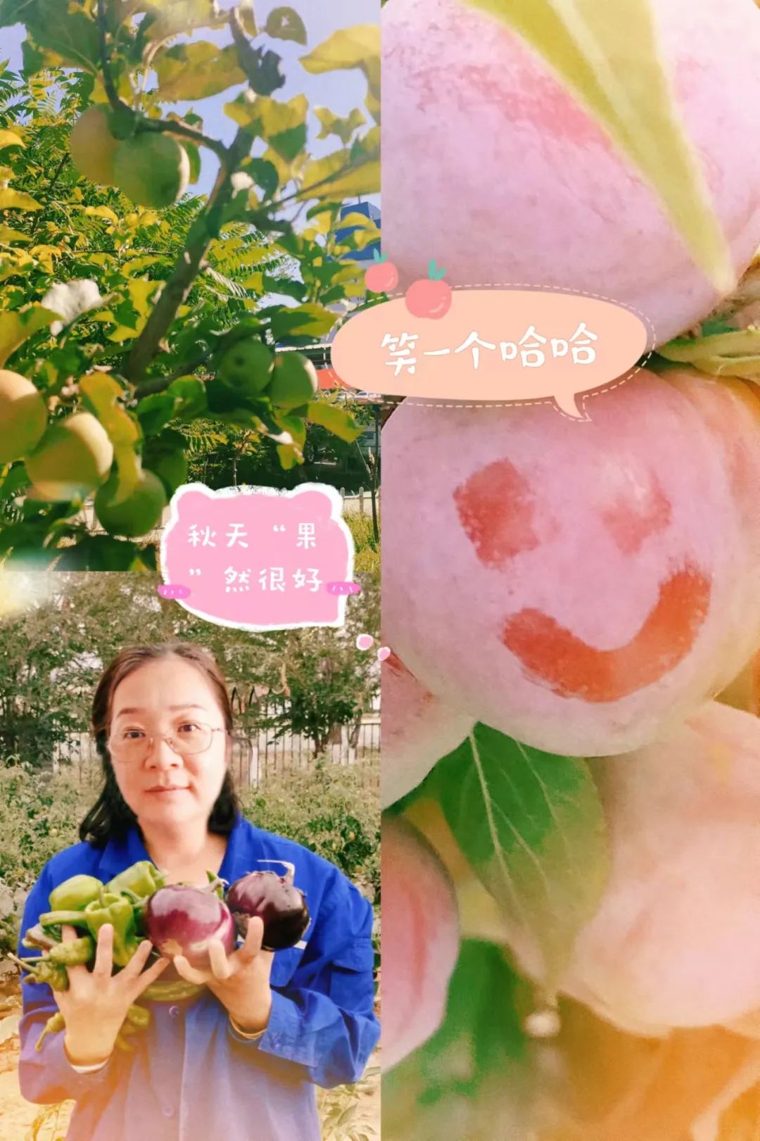 20241028114353401244