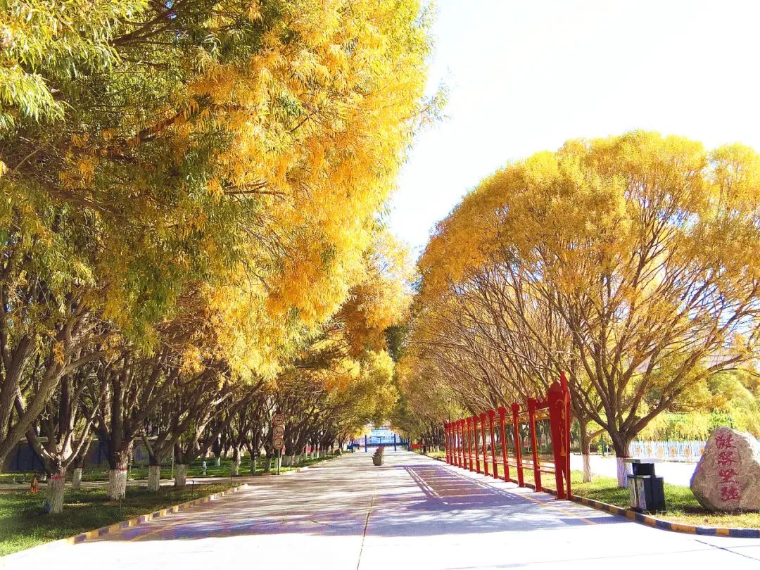 20241118161350570215