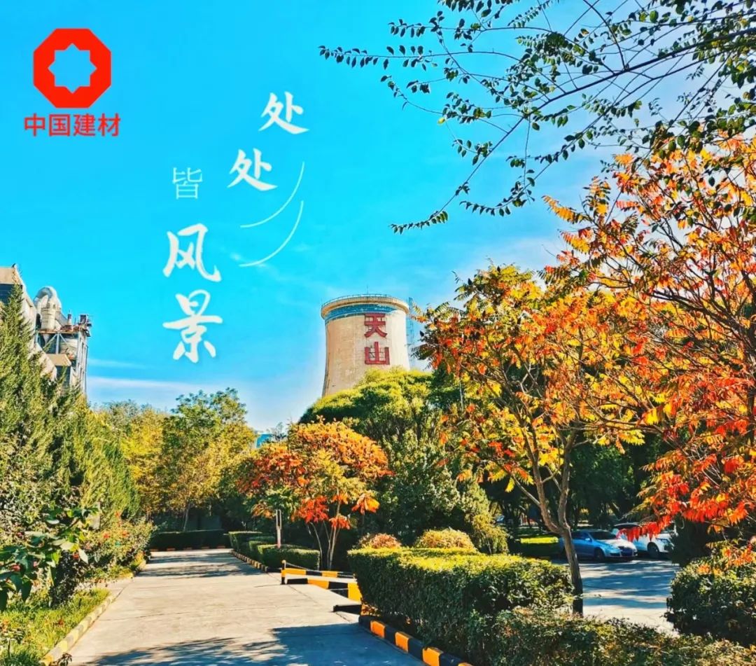 20241118161350638416