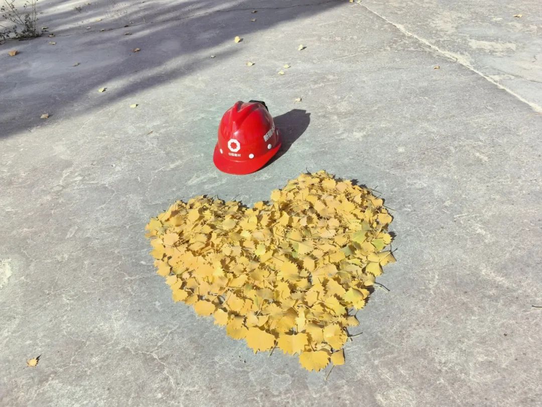 20241118161350772019