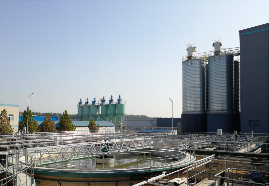 20250224094435748918