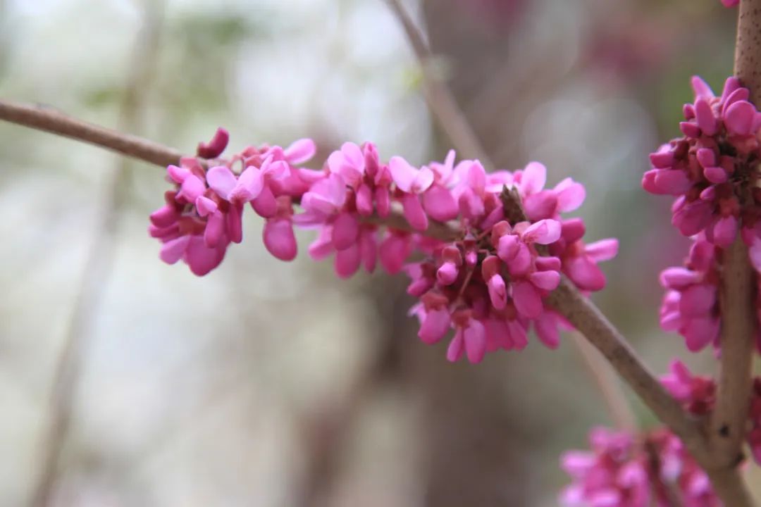 20250421100318815915