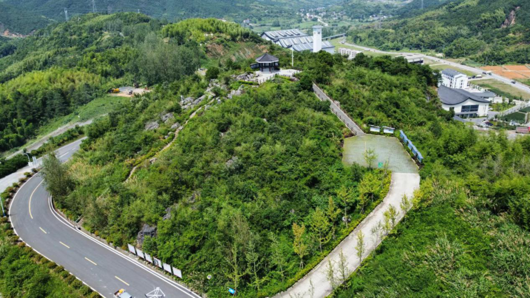 20251223094313871218