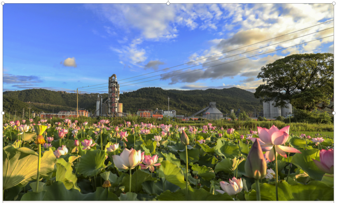 20251223094314305128